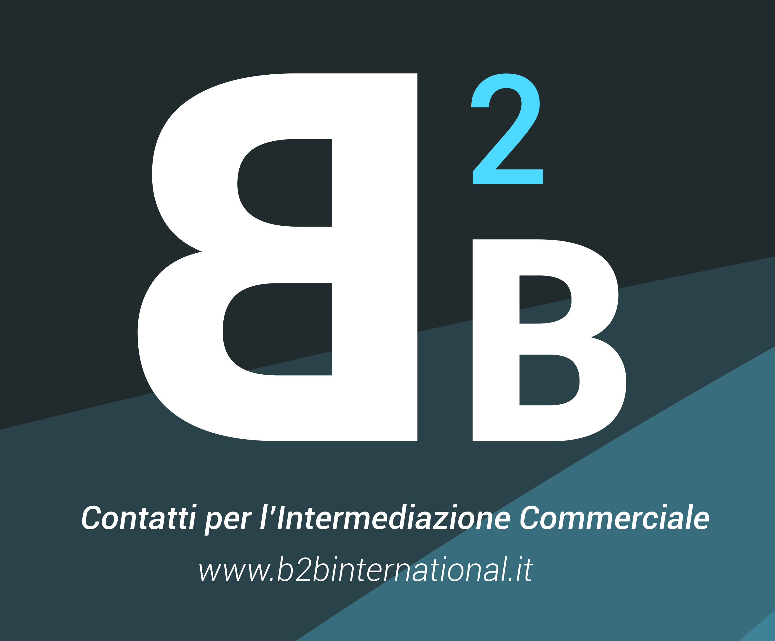 B&B International Group – B2B ITALIA Srl International Business Contacts